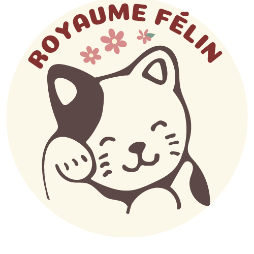 Royaume Félin Gant Statique Attrape-poils Pour Enlever Efficacement Les Poils D'animaux Réutilisable & Double Face (3 Gants